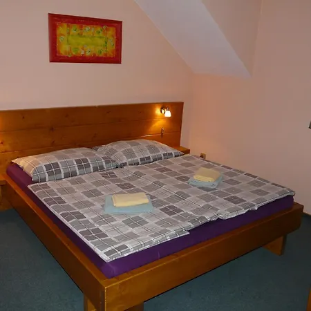 Wellness Palice 3*
